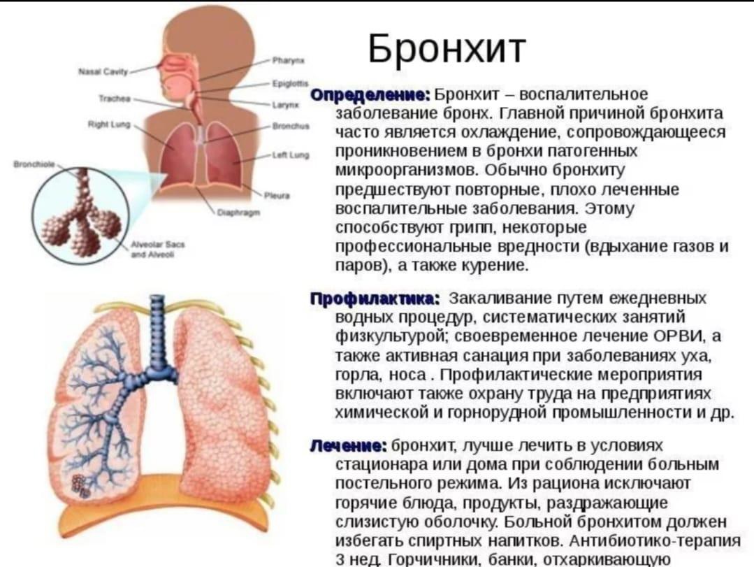 Профилактика бронхита